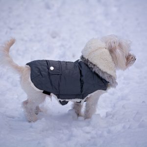 Winter Jacket